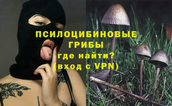 индика Балабаново