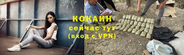 прущий лед Пересвет