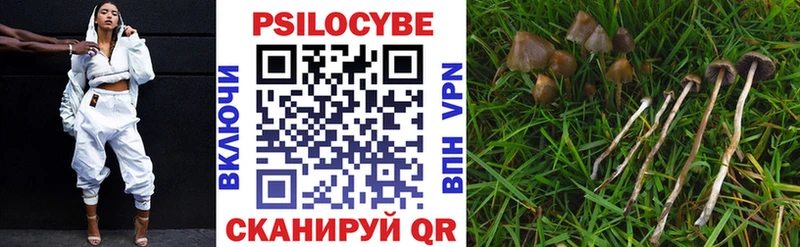 Галлюциногенные грибы Magic Shrooms  кракен онион  Петухово 